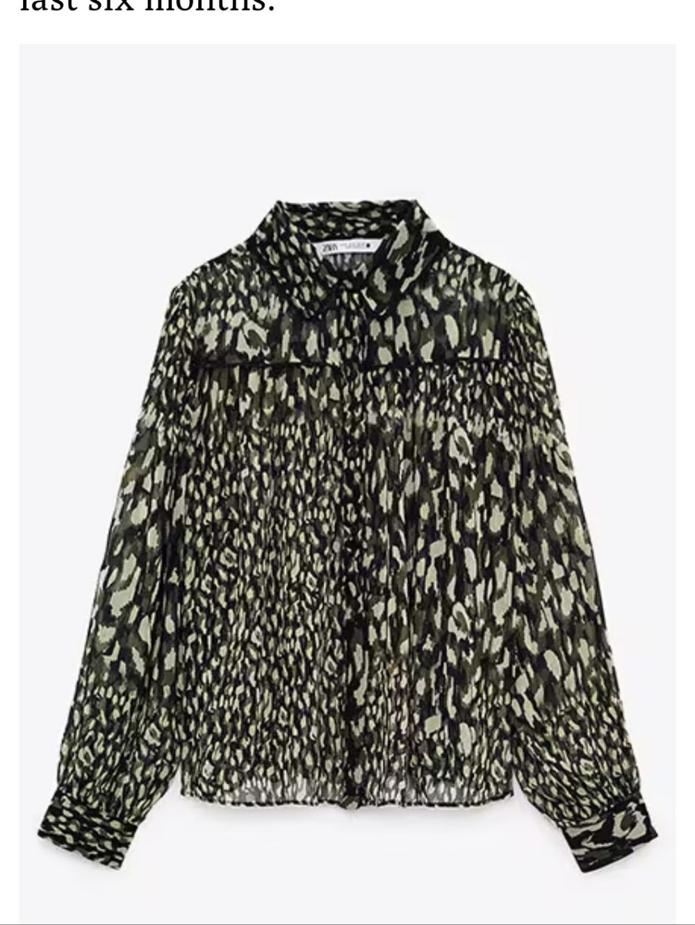Zara Leopard Printed Long-Sleeve Blouse